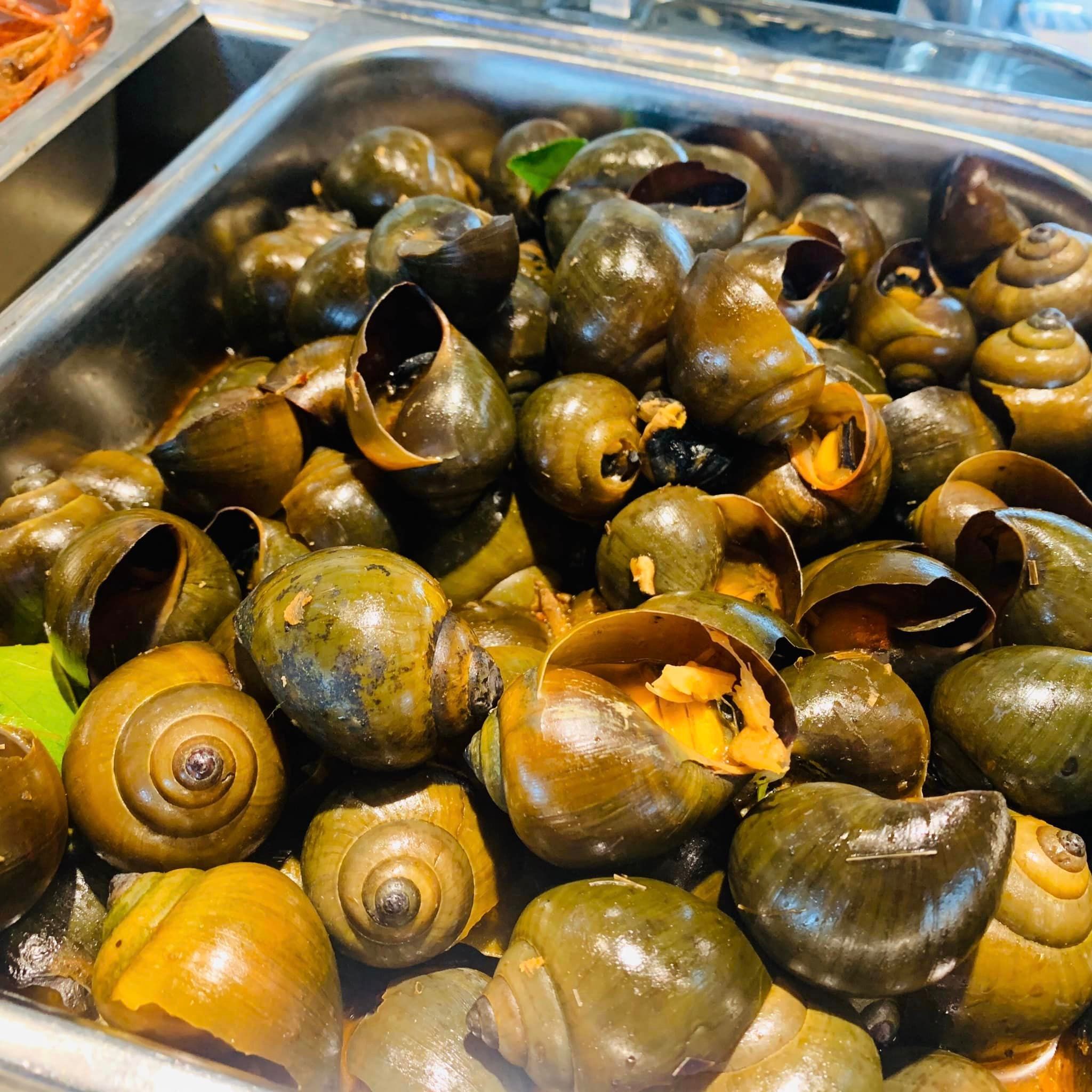 Adobi Buffet - Nguyễn Cơ Thạch