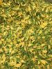 Quán Ngon Miền Tây - TTTM Savico Long Biên