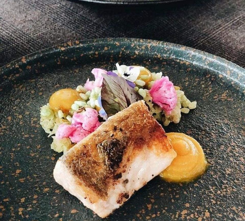 Salmonoid - Cao Bá Quát