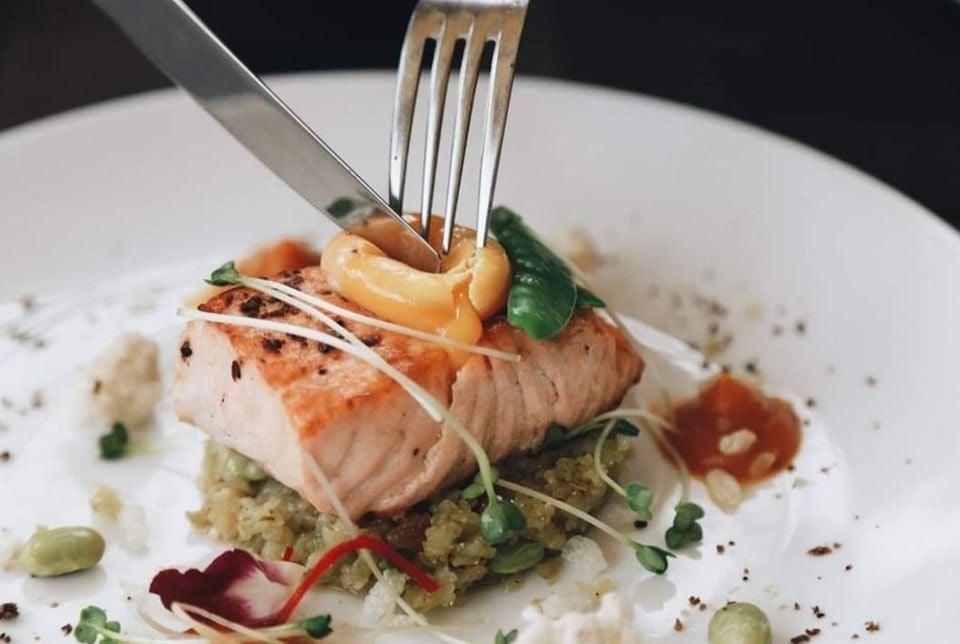 Salmonoid - Cao Bá Quát