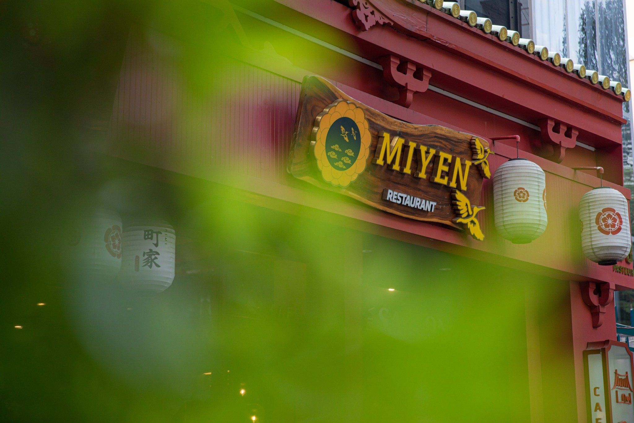 Miyen Japanese Fusion Cuisine - 178 Pasteur