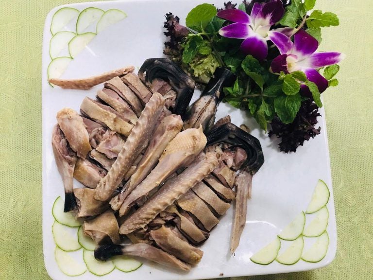 Thiên Cầm Quán - Phạm Tuấn Tài