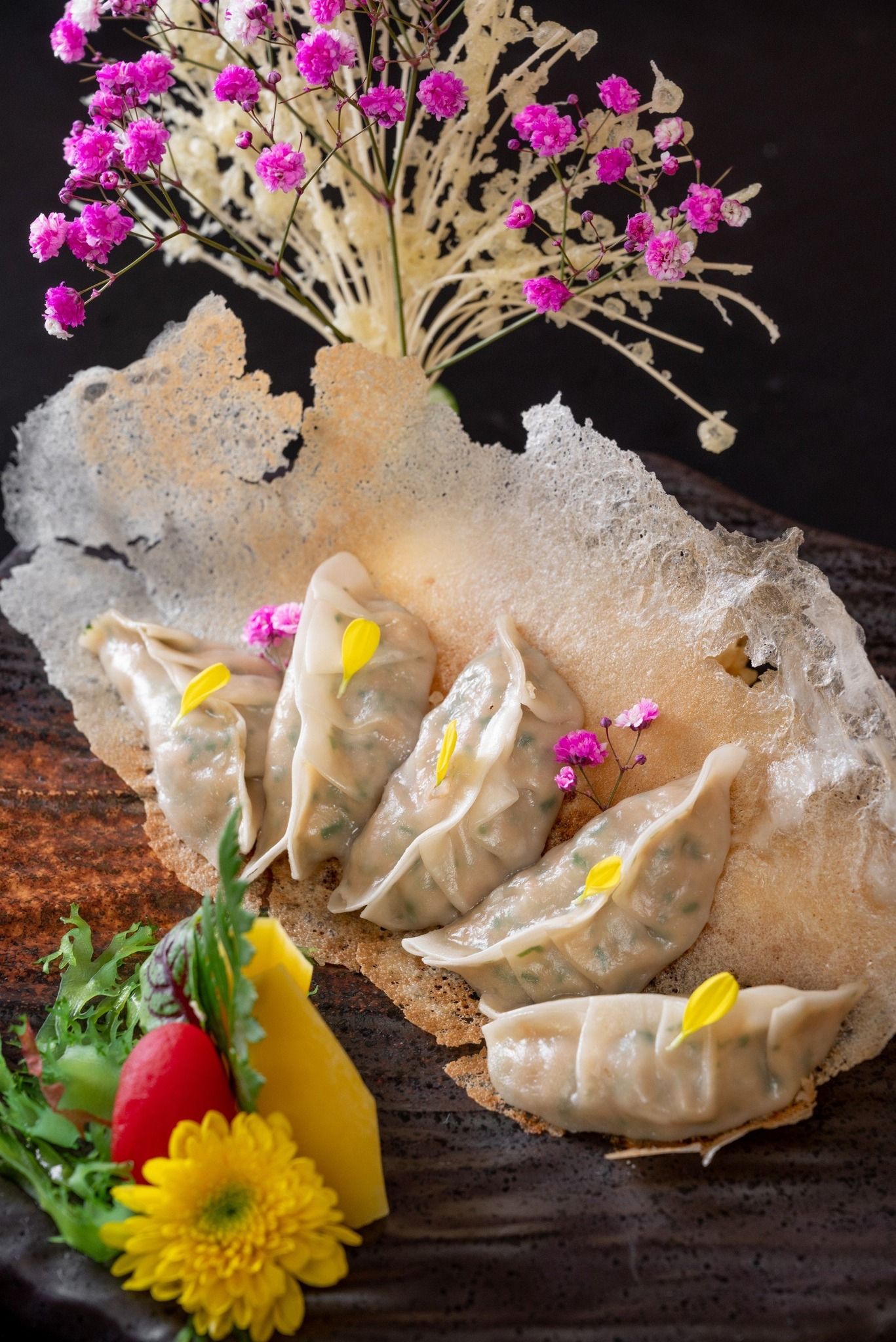 Hatoyama - Nguyễn Chánh