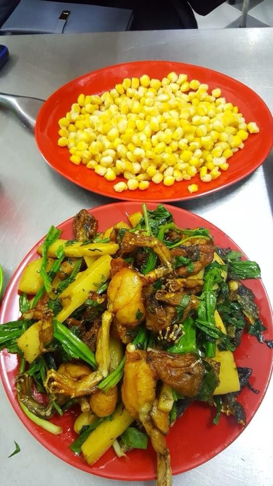 Lẩu Ếch Bốp Bin Bo - Phạm Ngọc Thạch