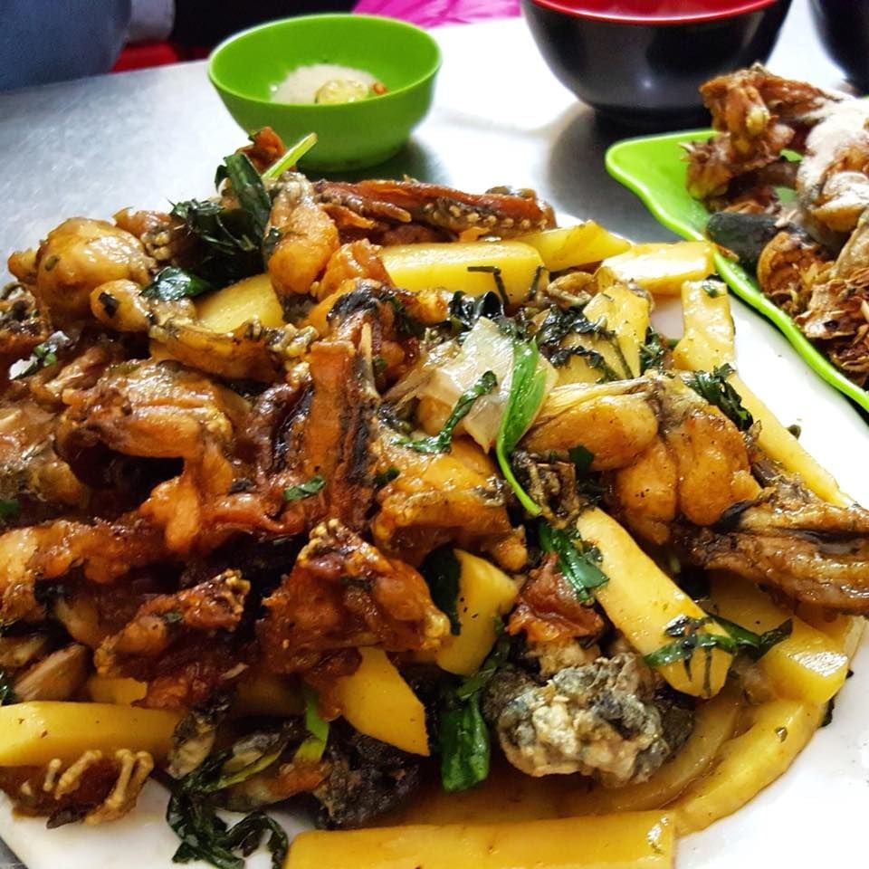 Lẩu Ếch Bốp Bin Bo - Phạm Ngọc Thạch