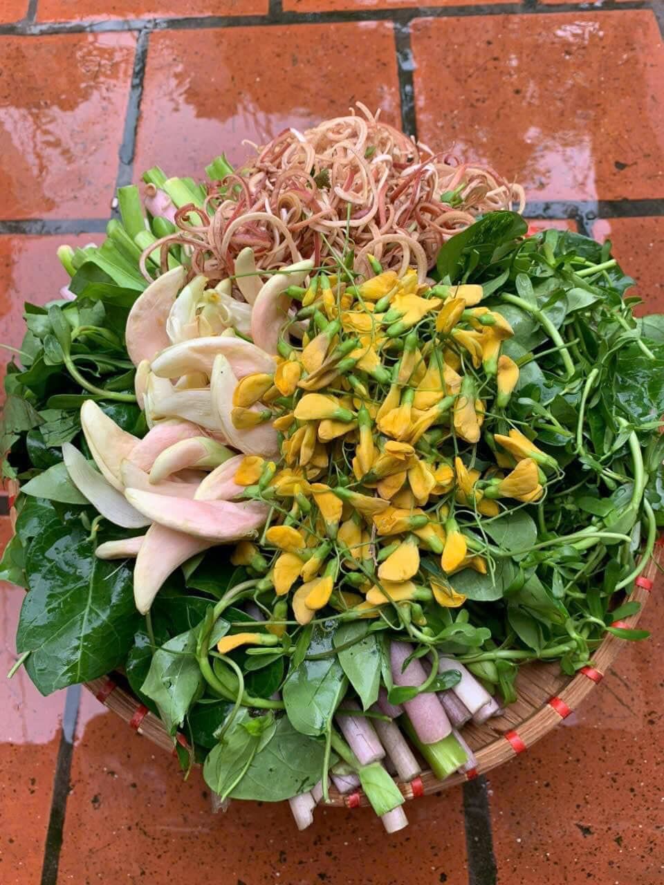 Cô Hai Lẩu Pháp - Nguyễn Khang