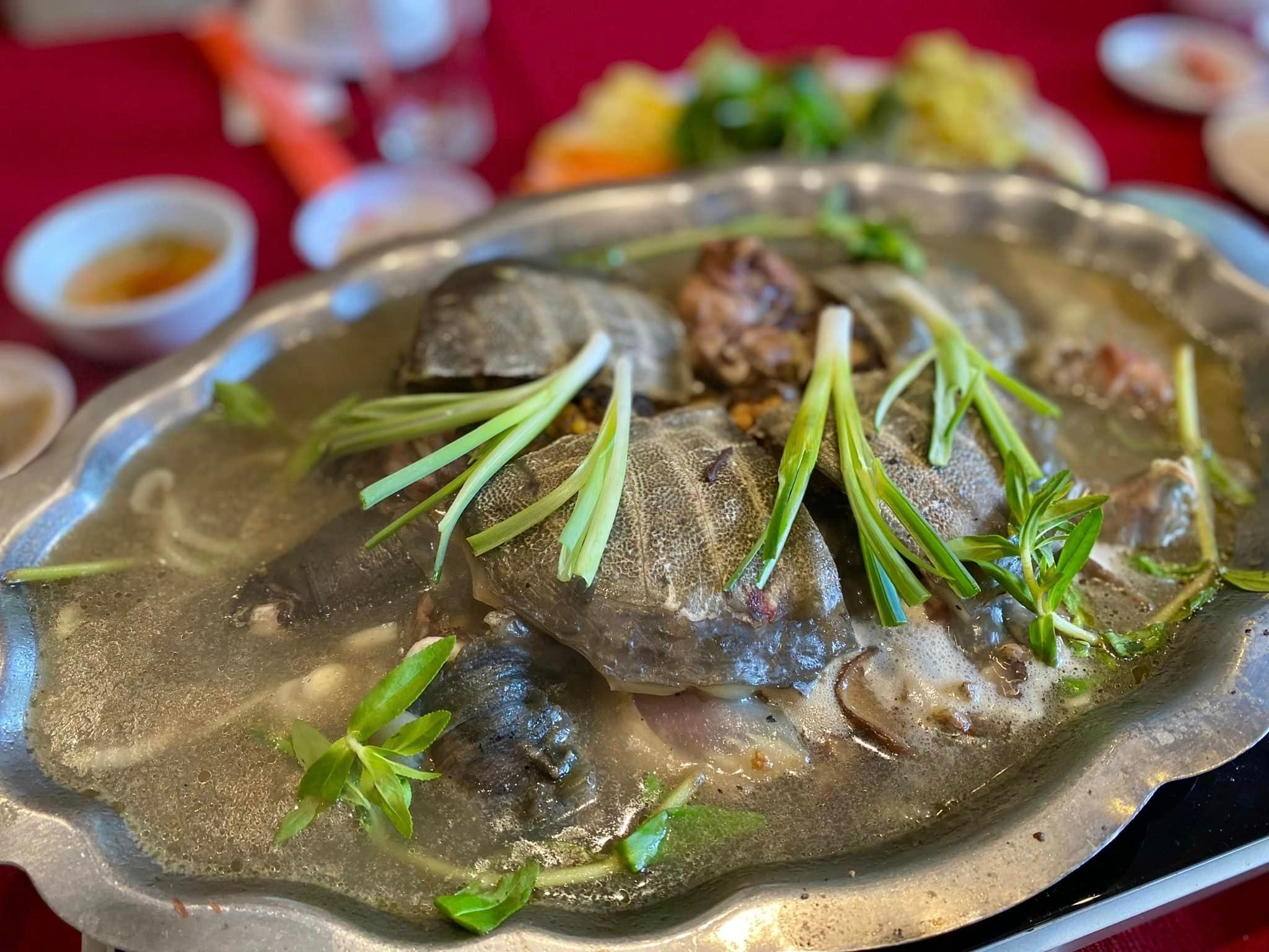 Giang Dung - 46/25 Thổ Quan