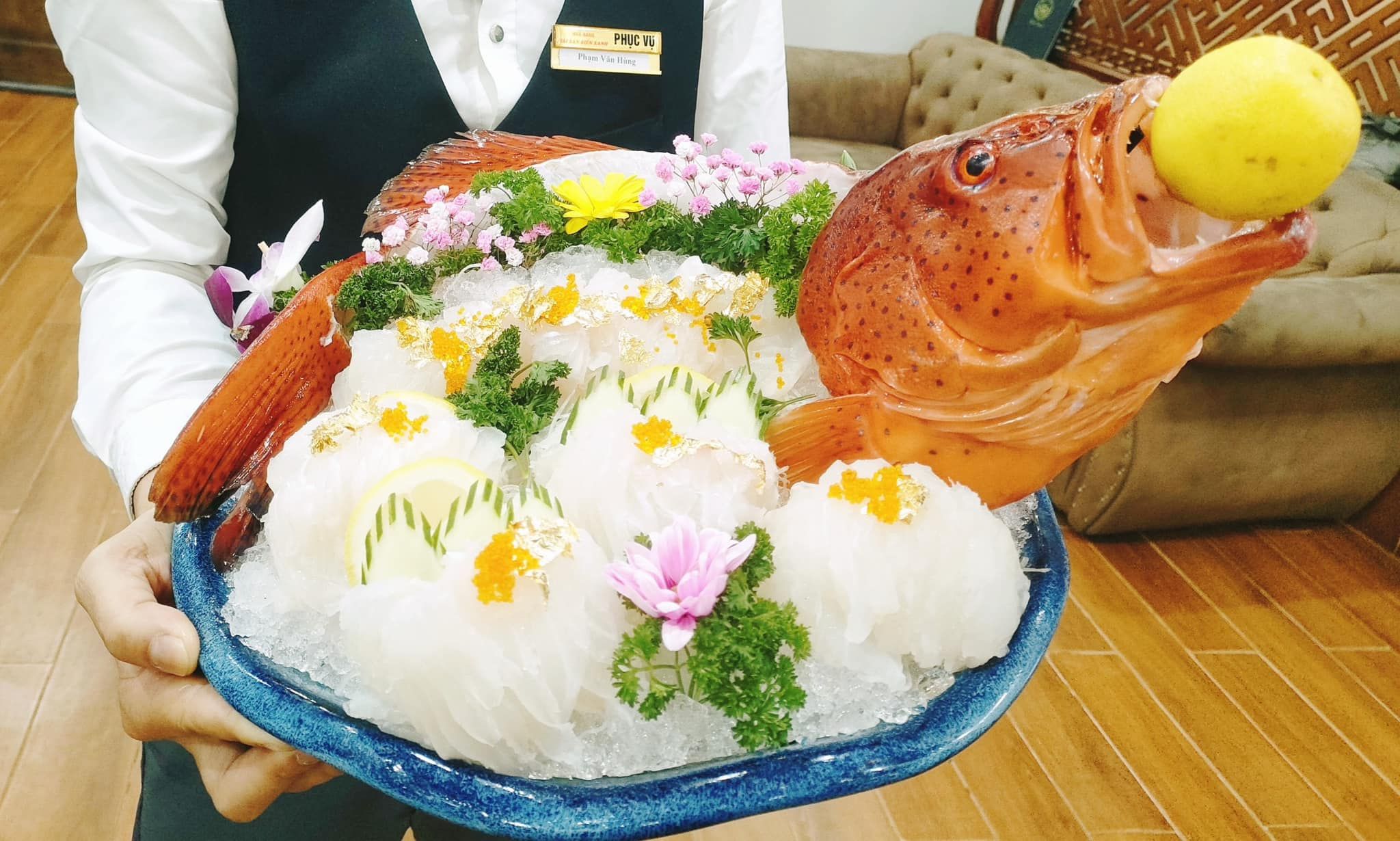 Hải Sản Biển Xanh - LK06 Vũ Trọng Khánh
