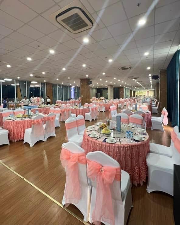 Hải Sản Ngọc Việt - 42 Lê Quang Đạo