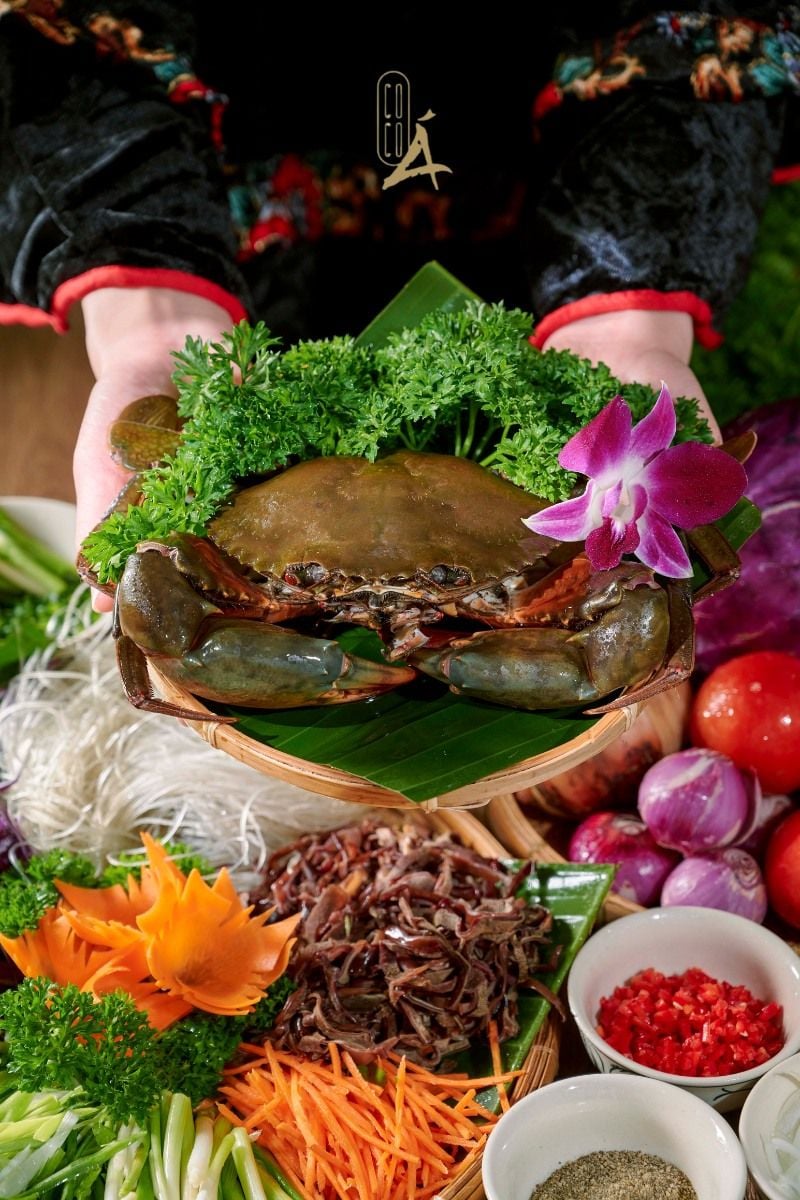 Coco Á - Lê Đại Hành