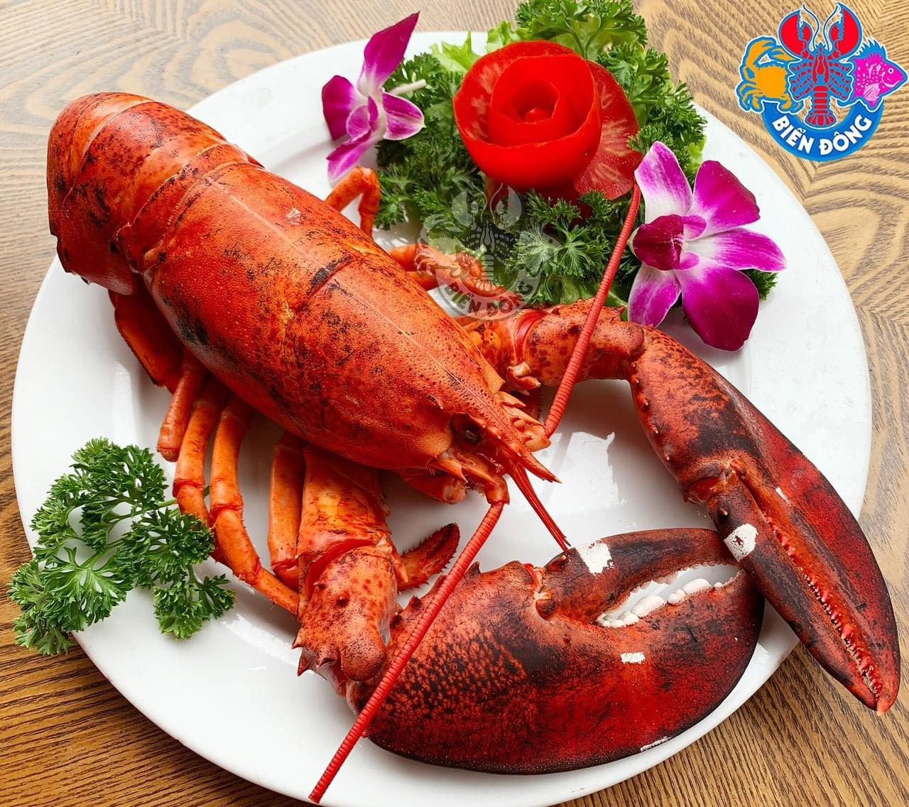 Hải Sản Biển Đông - 84 Trần Thái Tông