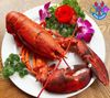 Hải Sản Biển Đông - 84 Trần Thái Tông