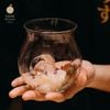 Yuzu Omakase - 17 Thái Phiên