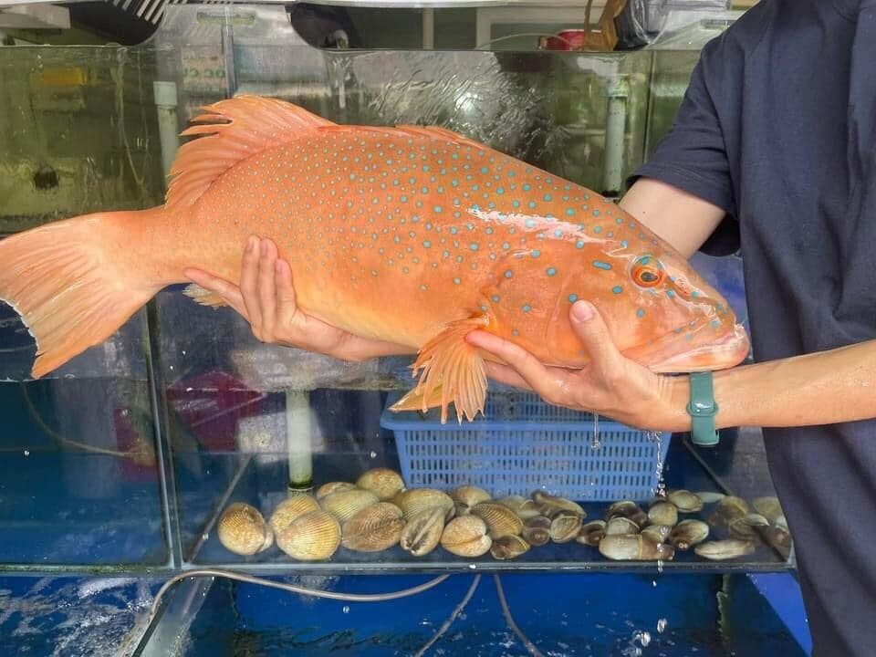 Ann Seafood Restaurant - Bãi Khem