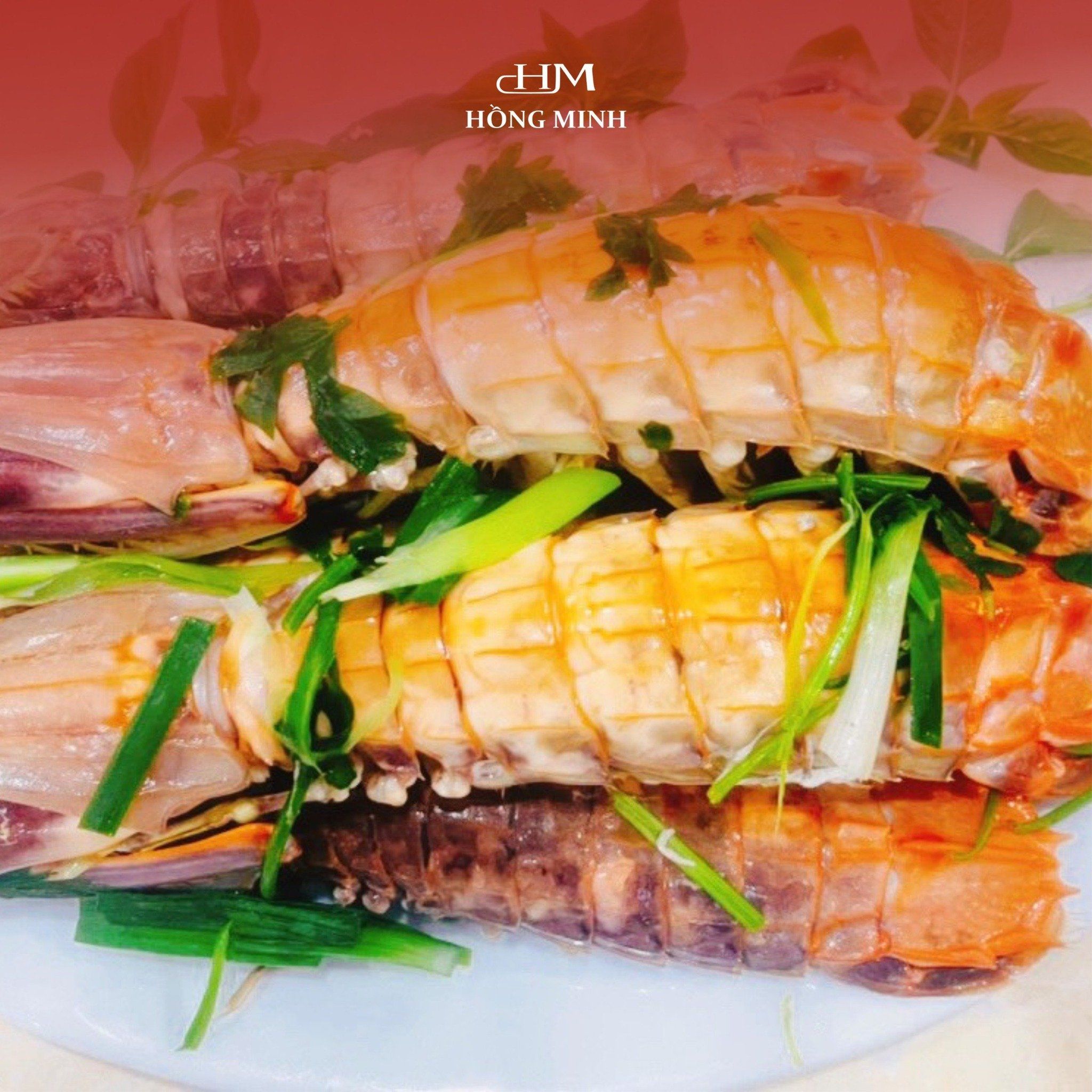 Hồng Minh - KĐT Mới Cái Dăm