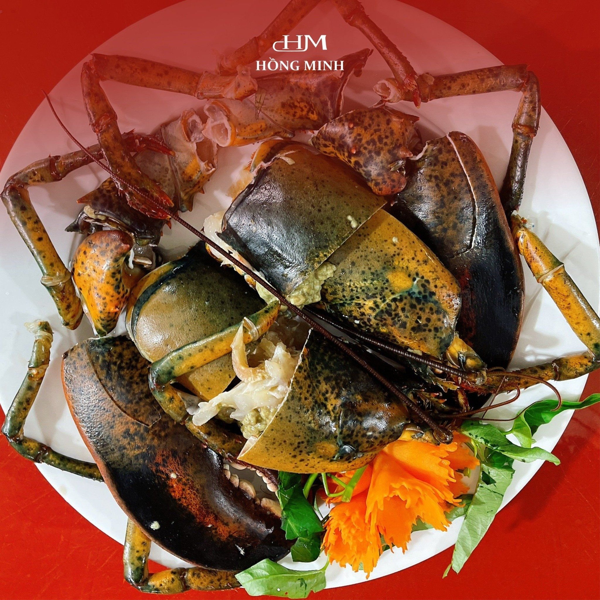 Hồng Minh - Đồn Điền