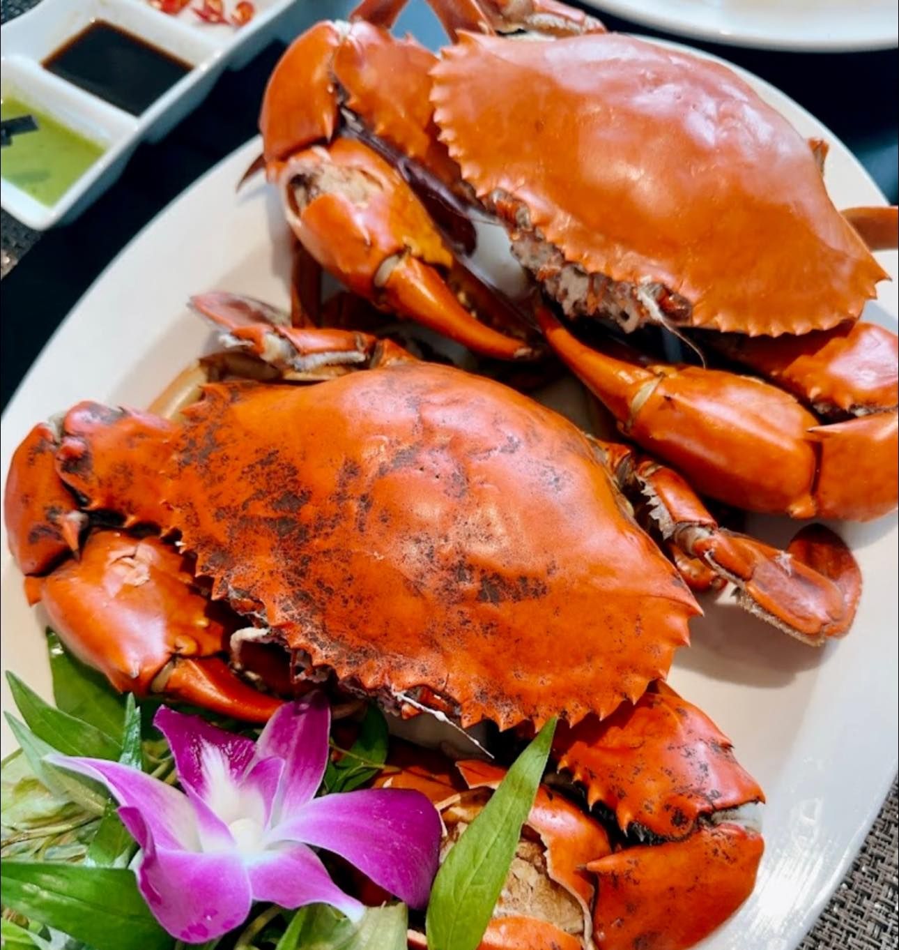 King Of Seafood Phú Quốc - Gành Dầu
