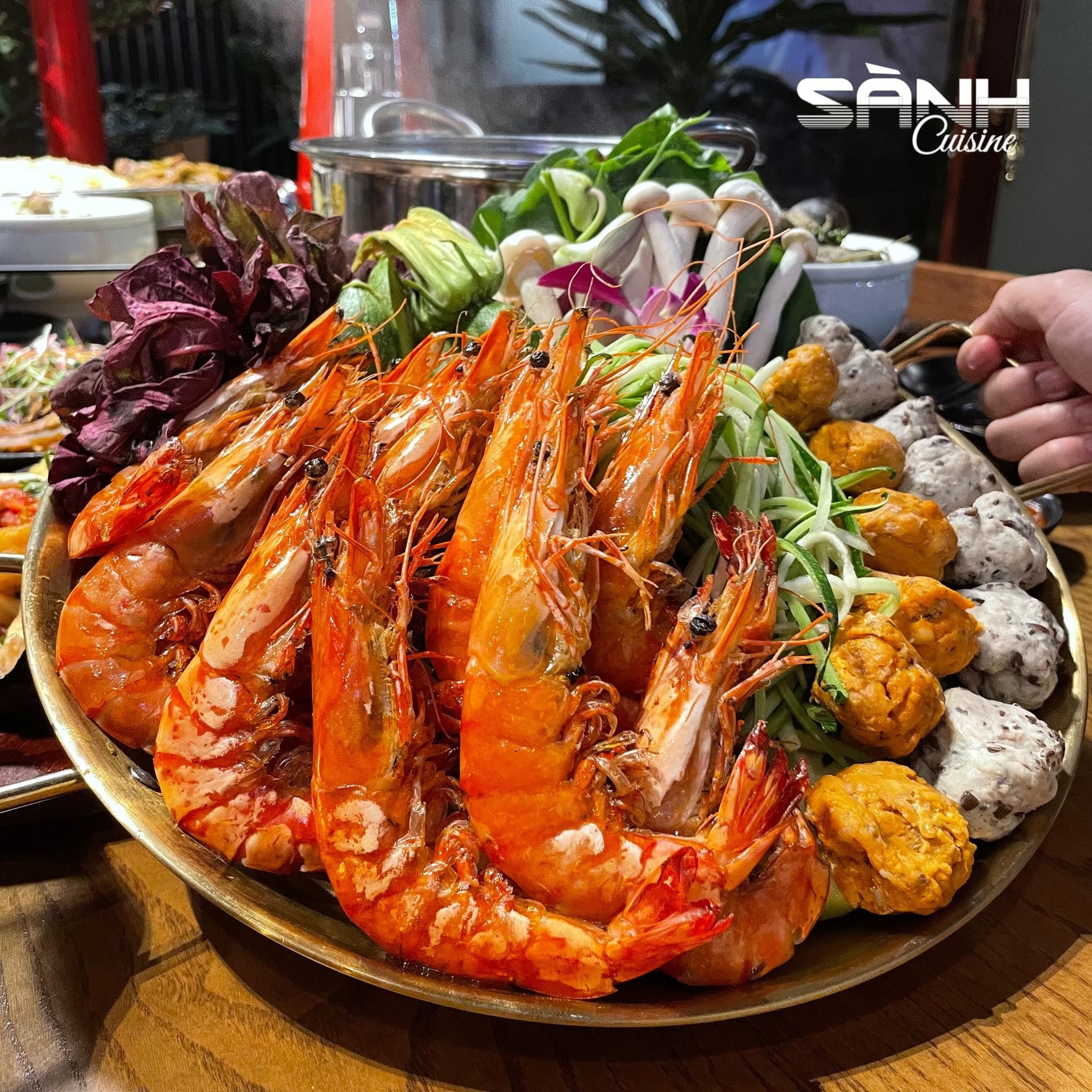 Ẩm Thực Sành - 259 Kim Mã