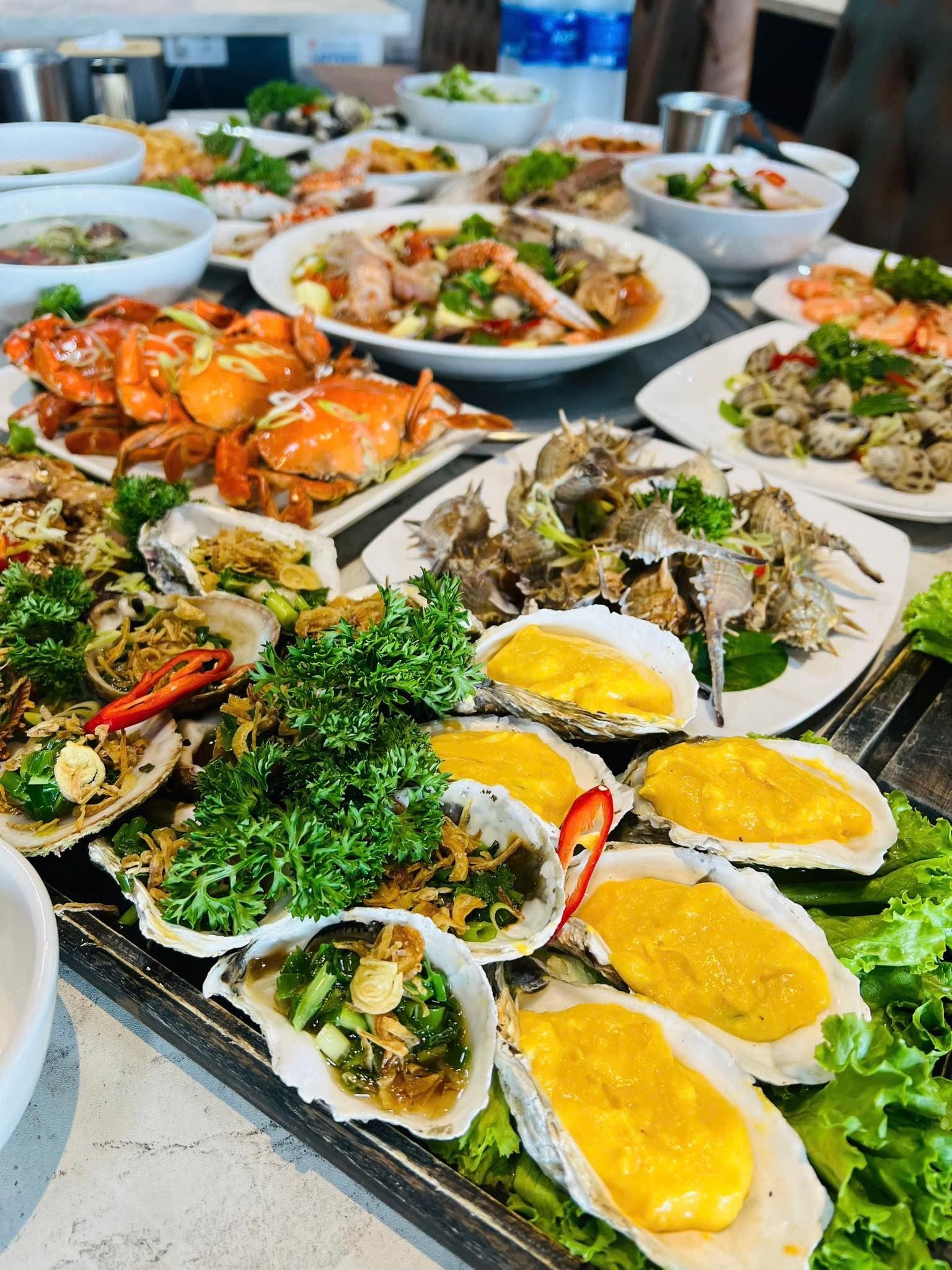 Biển 14 - Hạ Long