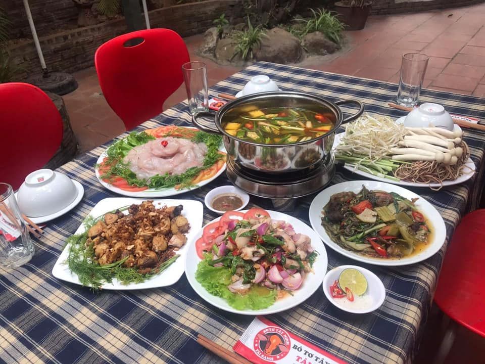 Bò Tơ Tây Ninh Tài Sanh - Bạch Đằng