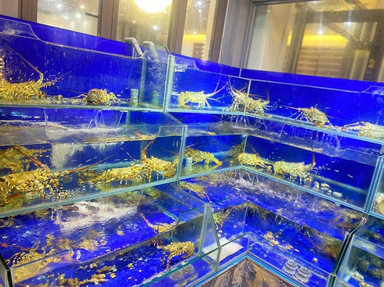 Hoàng Tâm Luxury - KĐT Mới Cái Dăm