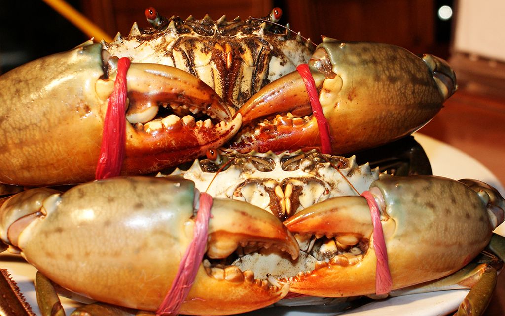 Hải Sản Biển Cua - Nguyễn Khang