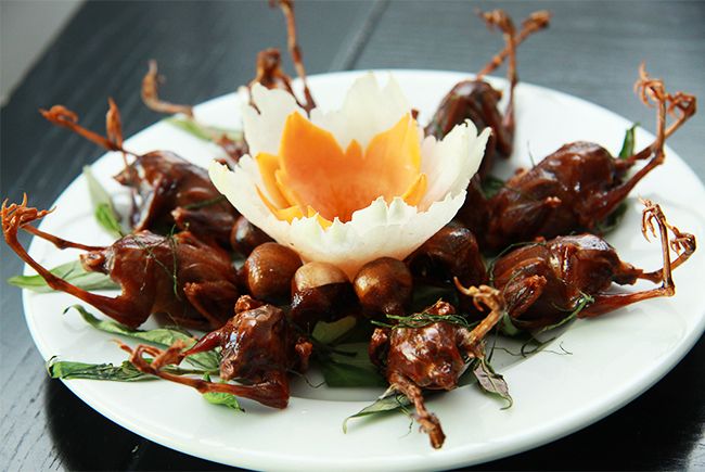 Thiên Cầm Quán - Phạm Tuấn Tài