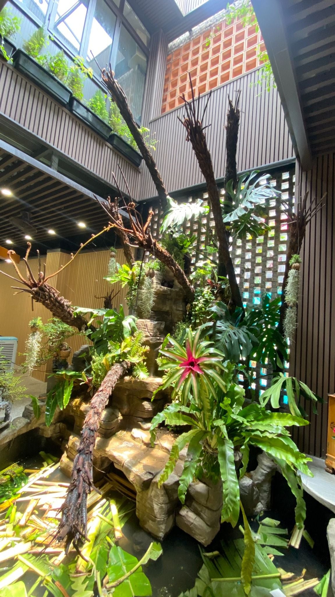 Vườn Nhiệt Đới - Trương Định