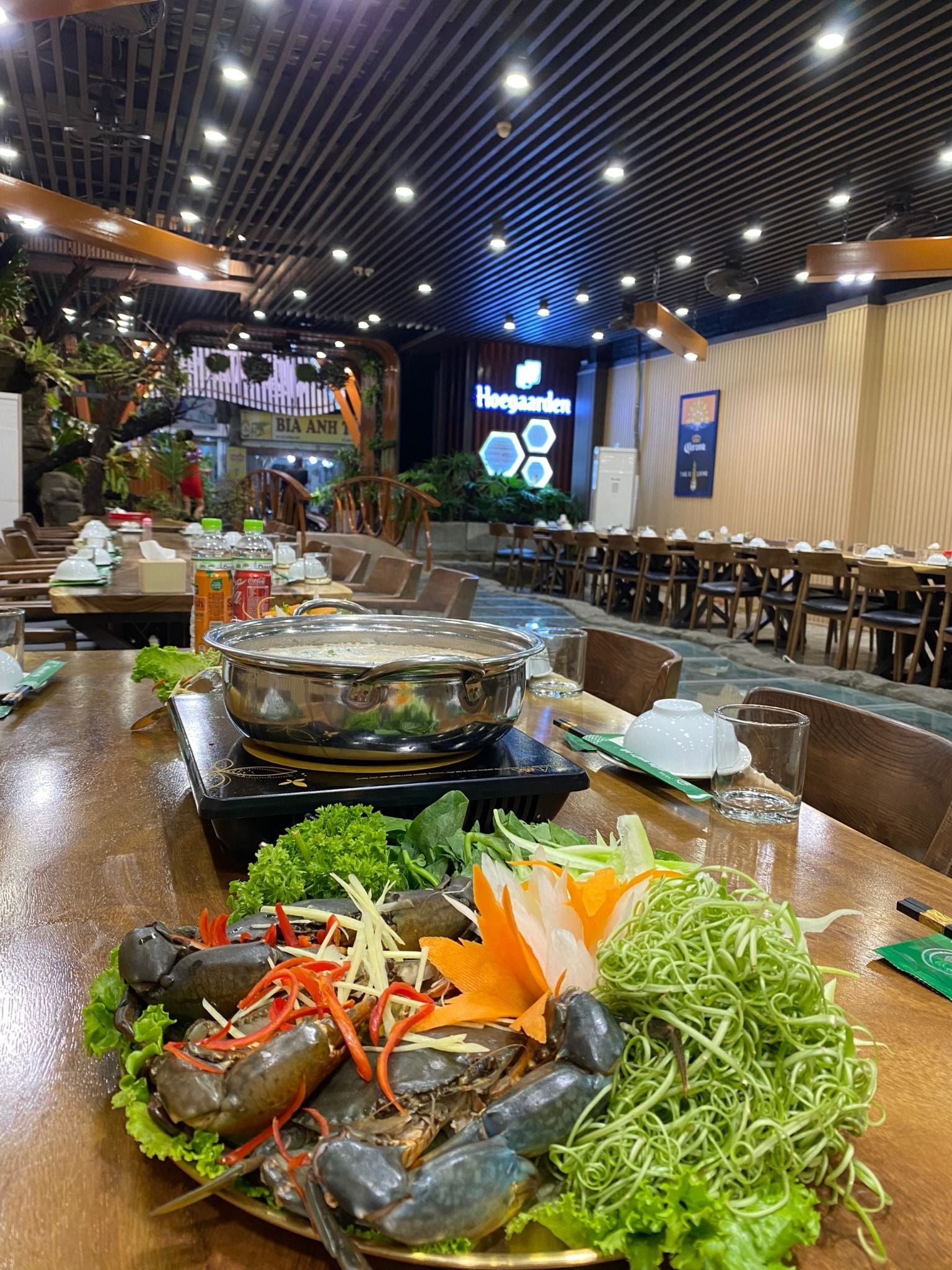 Vườn Nhiệt Đới - Trương Định