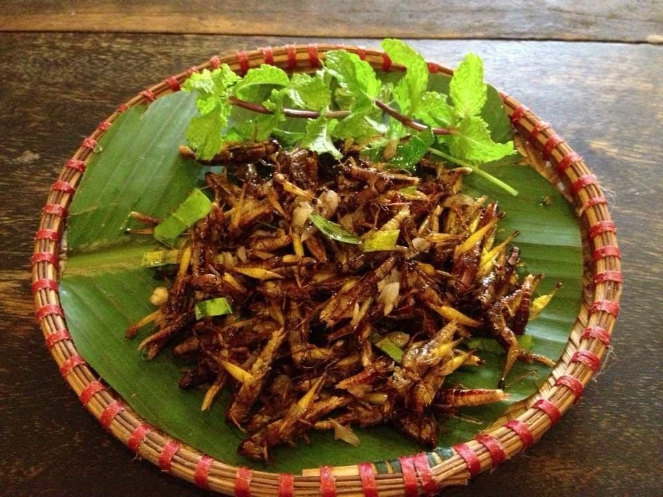 Chim Sáo - Ngô Thì Nhậm