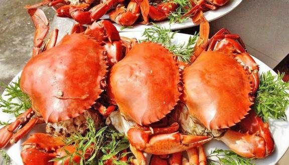 Hải Sản Biển Cua - Nguyễn Khang