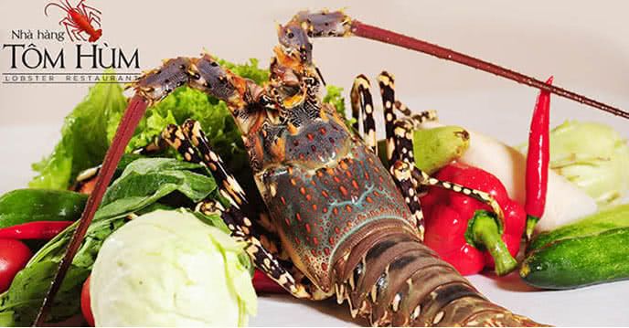 Tôm Hùm - Nguyễn Khánh Toàn
