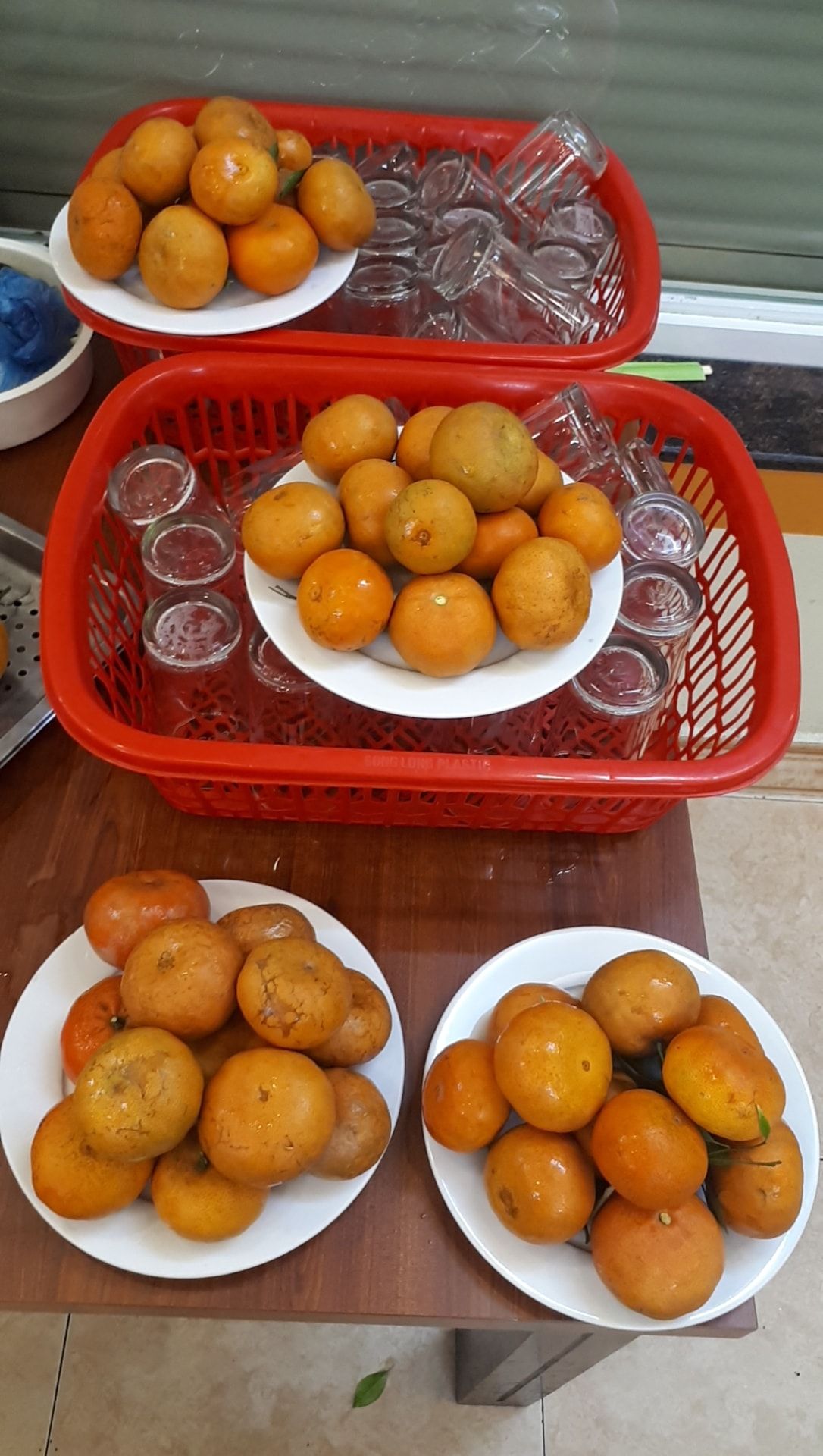 Gà 36 - Đào Tấn