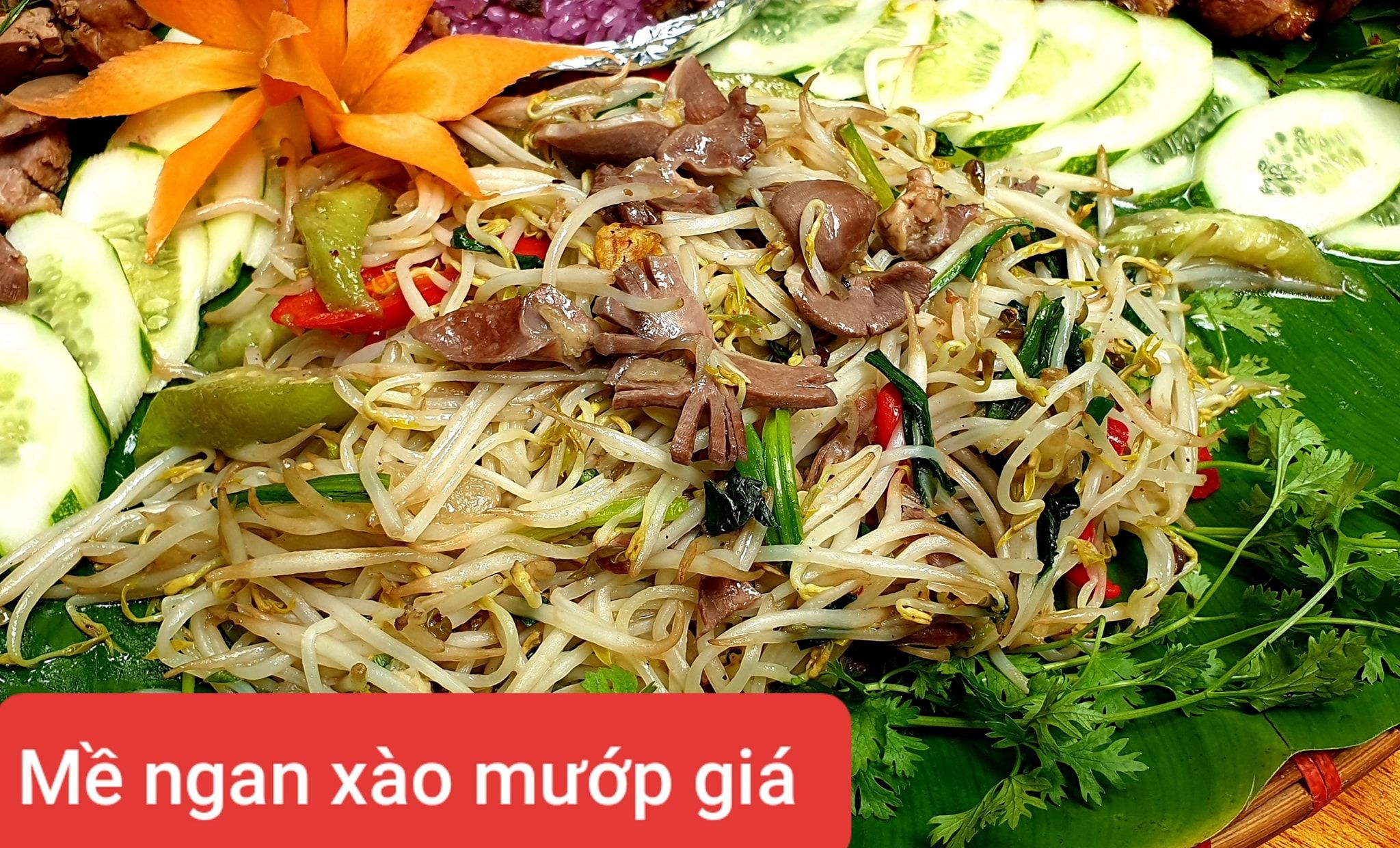 Mộc Lâm Quán - Trần Bình