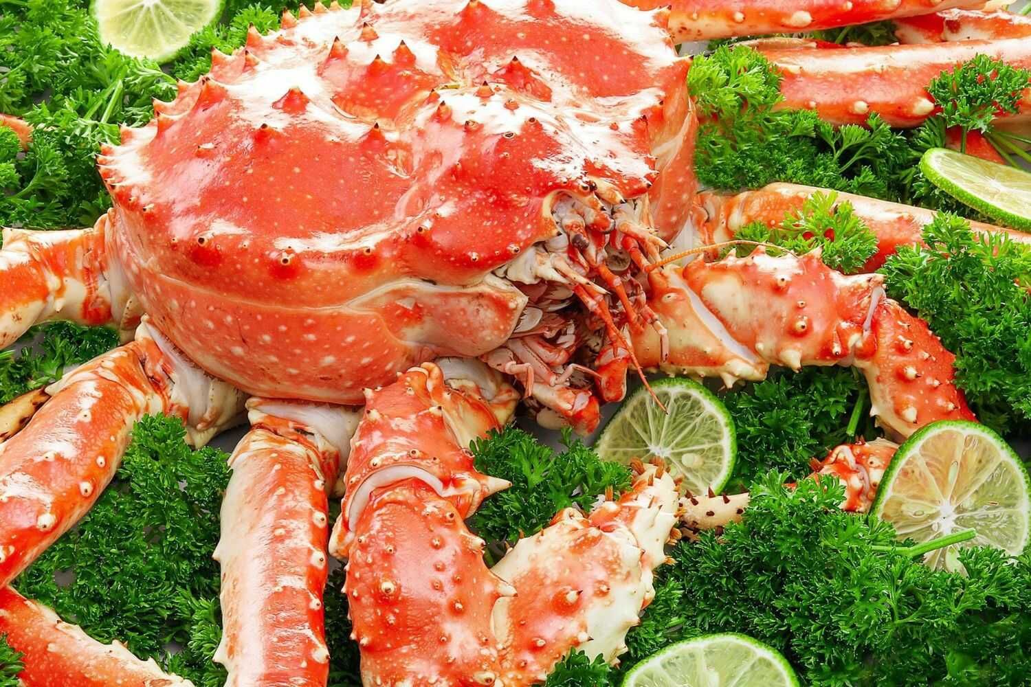 Hải Sản Xóm Vắng - Nguyễn Cơ Thạch