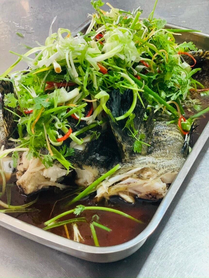 Thảo Nguyên Xanh - Thọ Tháp