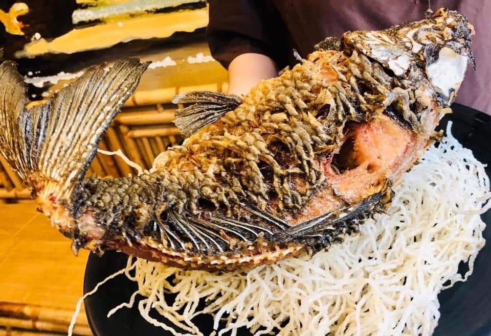 Mộc Quán - Ông Ích Khiêm