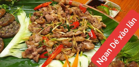 Mộc Lâm Quán - Trần Bình