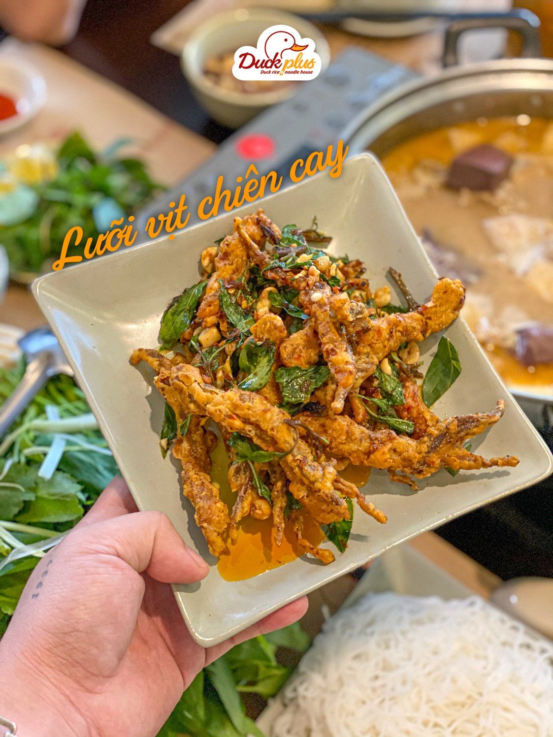 Duck Plus - Vũ Phạm Hàm