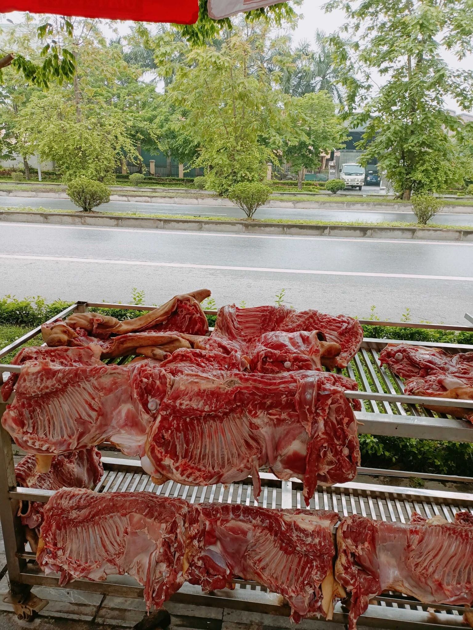 Sơn Dương - Xuân Phương