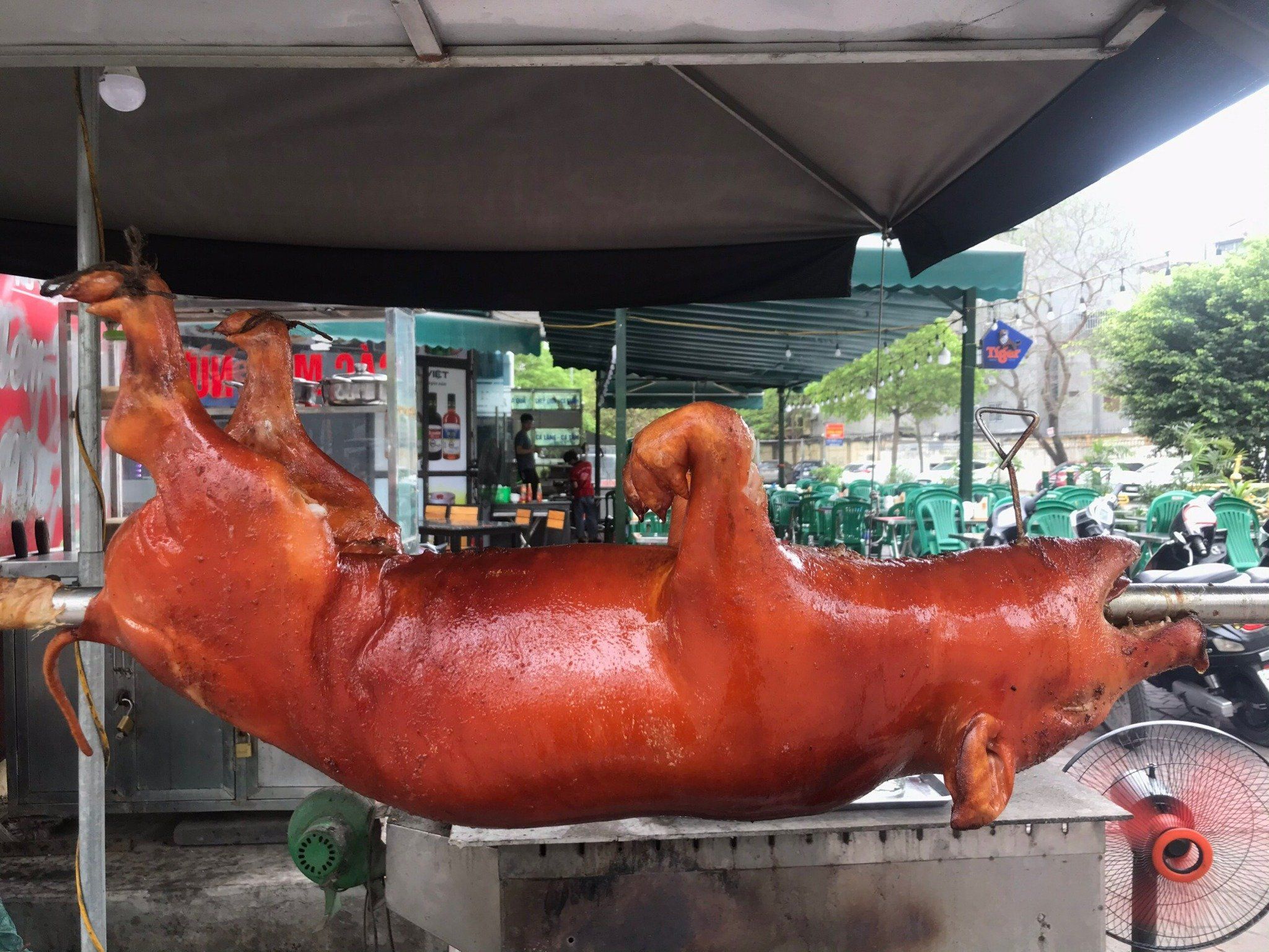 Bia Hải Hói - 33 Mạc Thái Tổ