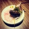 The Sushi House - Nguyễn Khoái