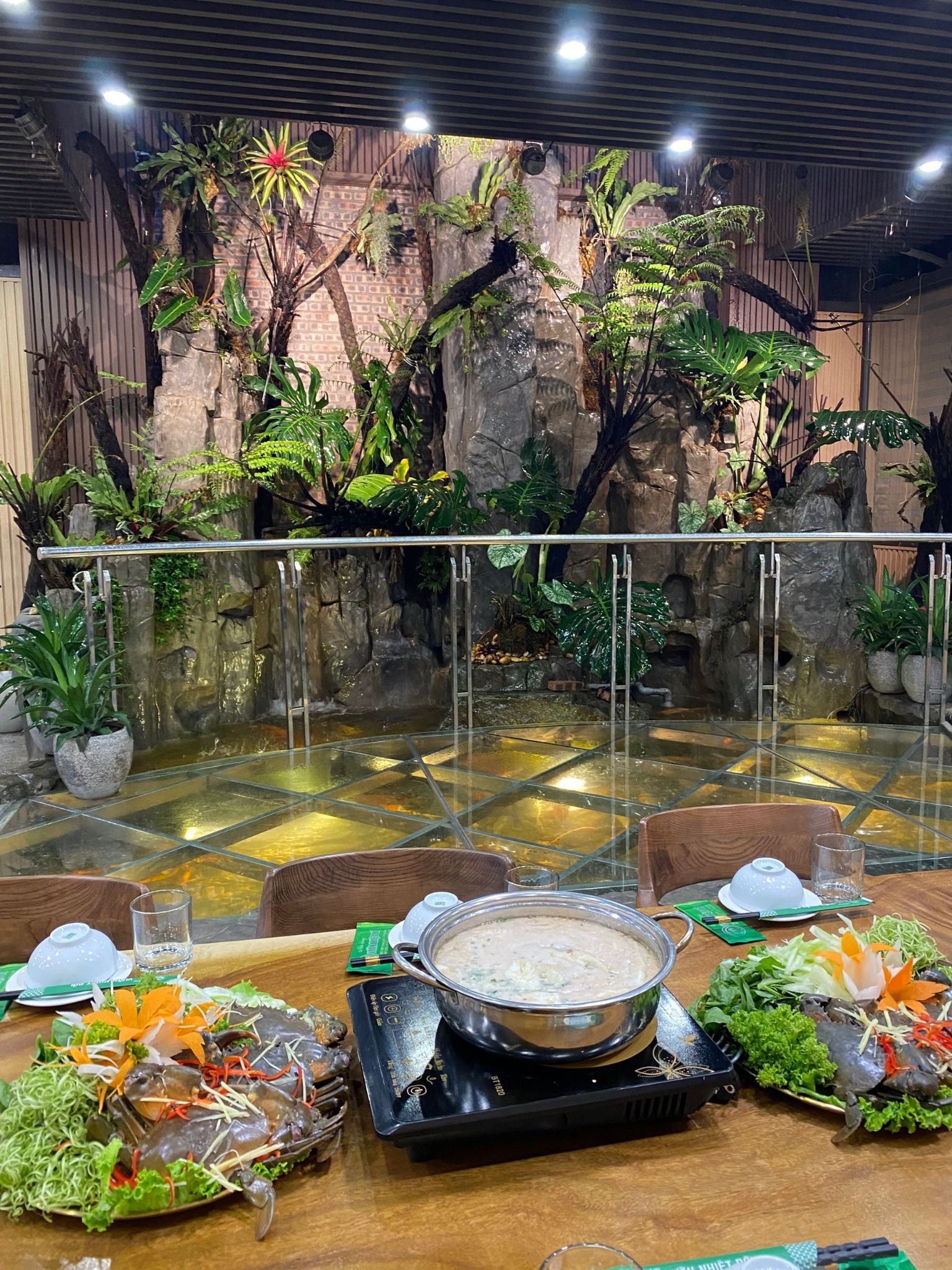 Vườn Nhiệt Đới - Trương Định