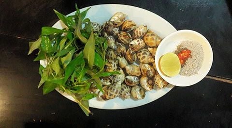 Hương Cau 2 - Bến Vân Đồn