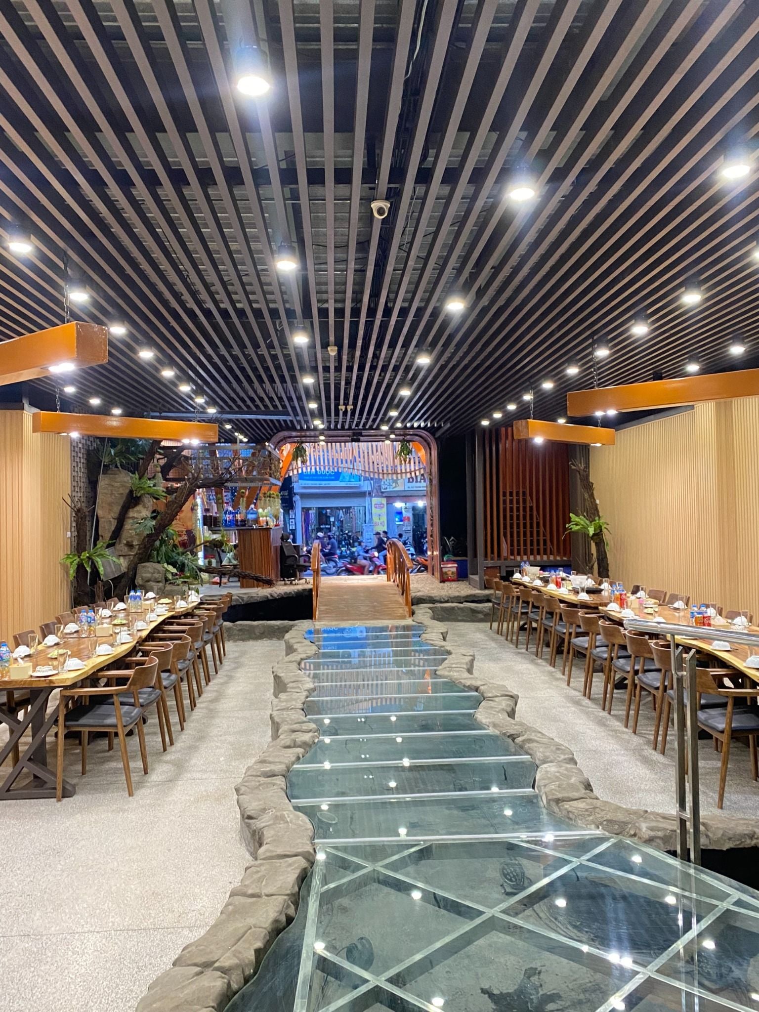 Vườn Nhiệt Đới - Trương Định