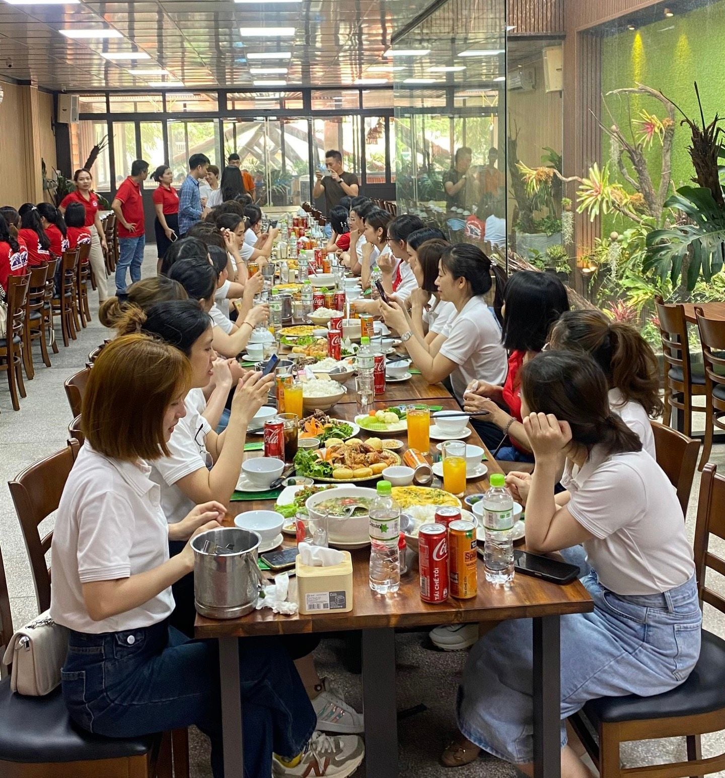 Vườn Nhiệt Đới - Trương Định