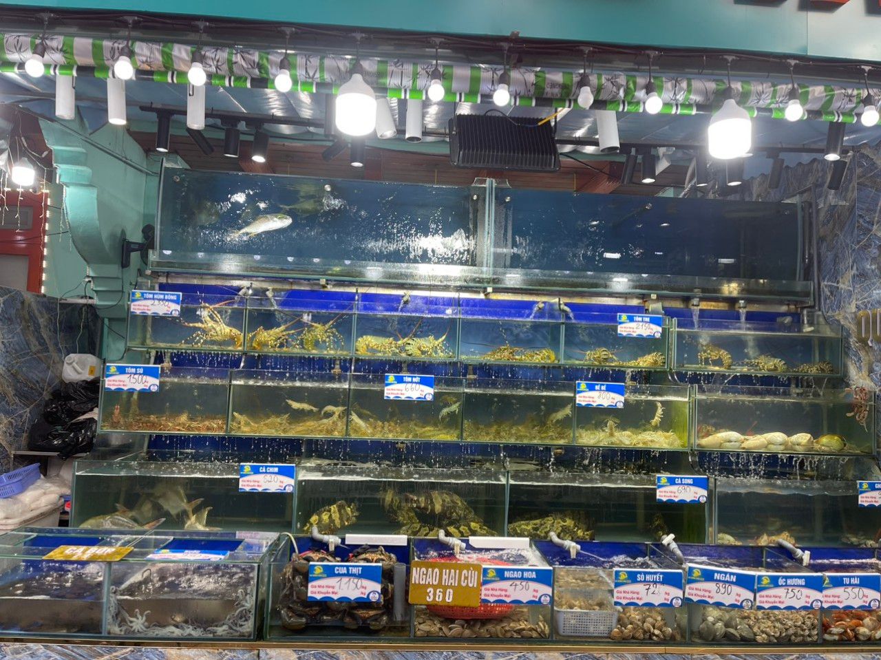 Đại Dương Vàng 9999 - Khu Phố Cổ Sun World