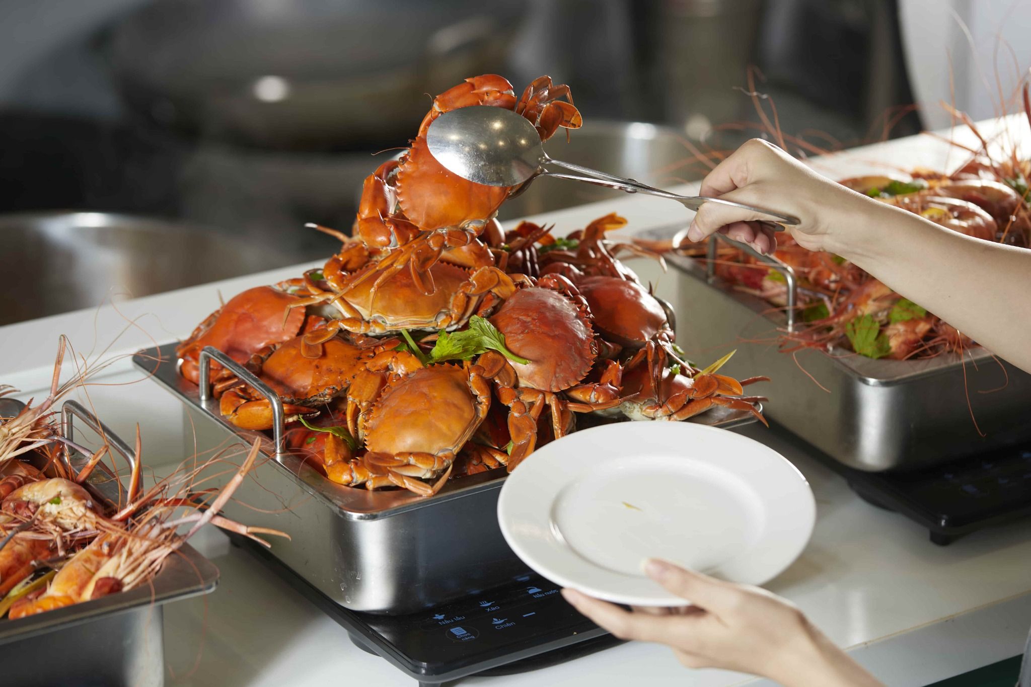 Royal Buffet - Lương Định Của
