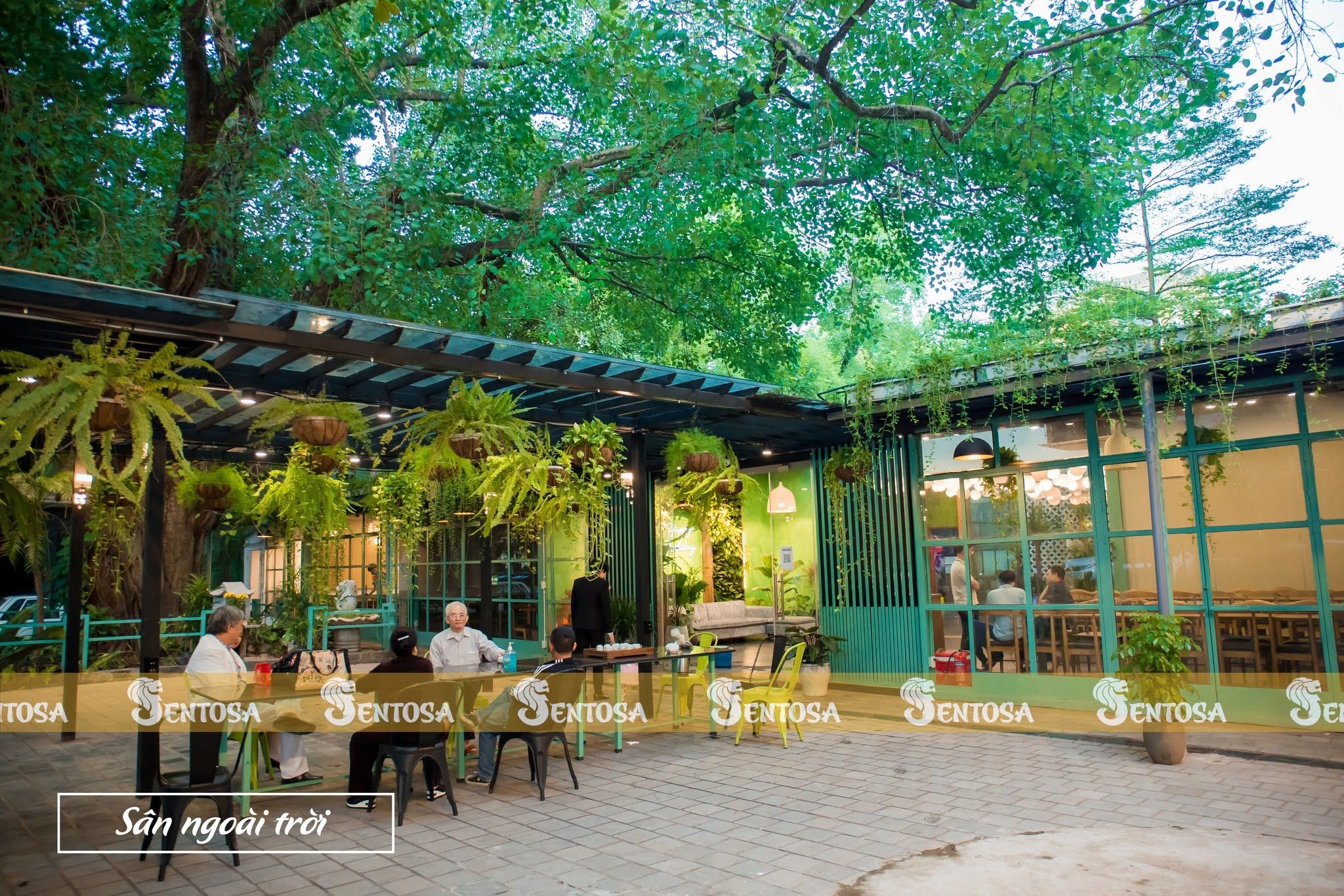 Sentosa - 67Y Phó Đức Chính