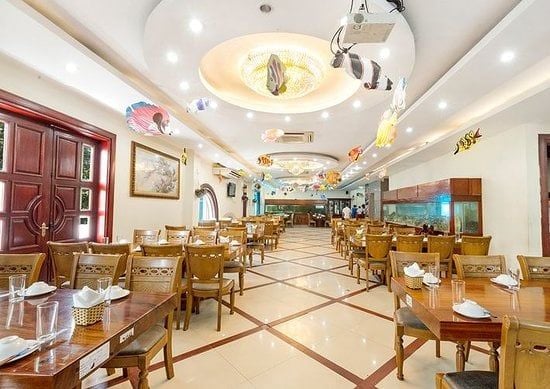 Hải Sản Biển Đông - 84 Trần Thái Tông
